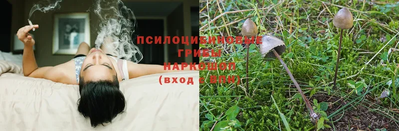 Галлюциногенные грибы Magic Shrooms  Нижнекамск 